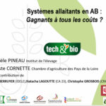 Systèmes allaitants en AB : Gagnants à tous les coûts ?