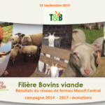 Filière bovins viandes : résultats du réseau de fermes Massif Central